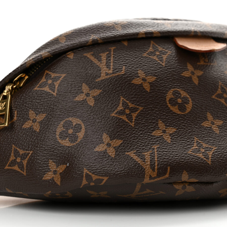 Monogram Bumbag - Image 5