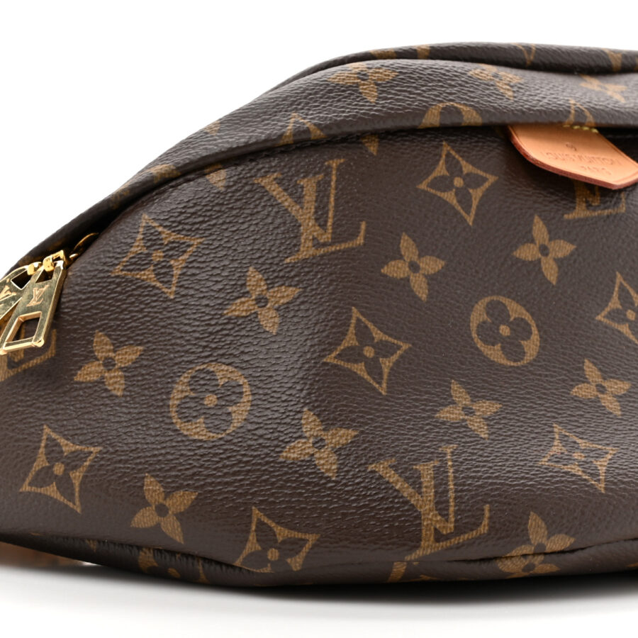 Monogram Bumbag - Image 4