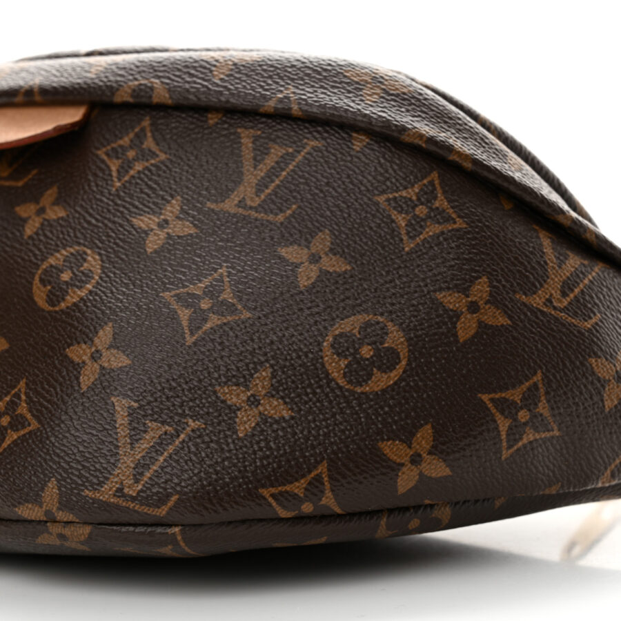 Monogram Bumbag - Image 6